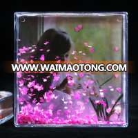 Acrylic Plastic Picture Paper Photo Insert With Glitter Acrylic Photo Sheets Liquid Photo Frame