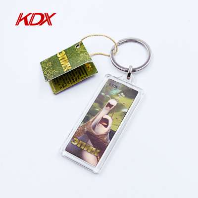 Keychain manufacturers made plastic custom logo 3d lenticular drawing acrylic key chain